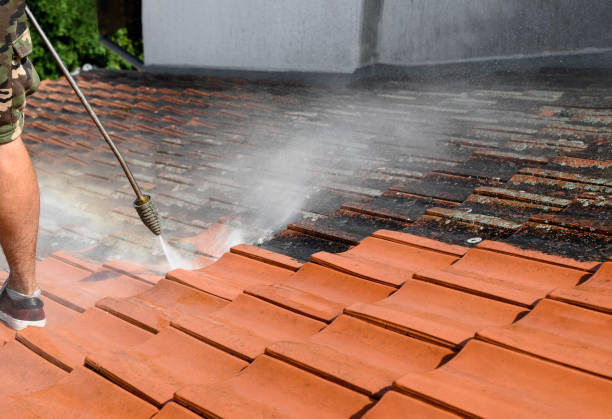 Best Pressure Washing Cost  in Alpena, MI