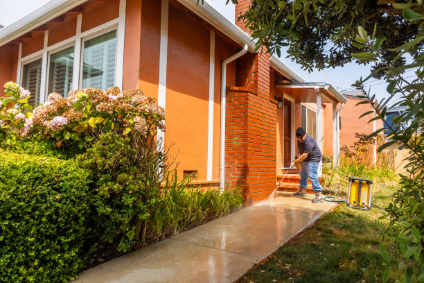 Best Fence Pressure Washing  in Alpena, MI