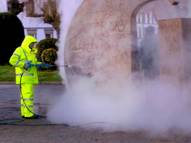 Best Roof Pressure Washing  in Alpena, MI