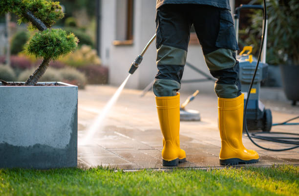 Best Garage Pressure Washing  in Alpena, MI